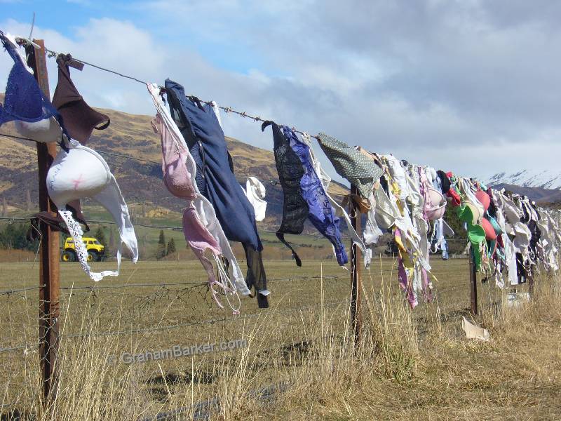 Mammary support garments blowing in the wind, near Cardrona, New Zealand