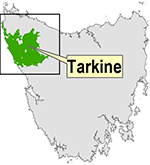 The Tarkine area considered for national heritage listing (from Wikipedia)