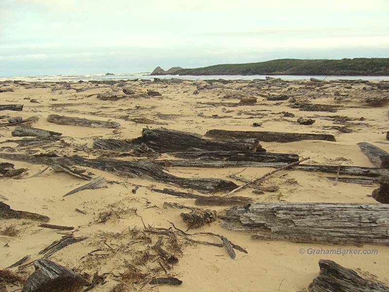 Driftwood on a large scale at the mouth of the Pieman River, Tasmania