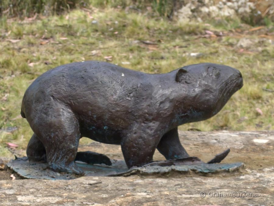 Steppes sculptures, Tasmania - life-size wombat sculpture