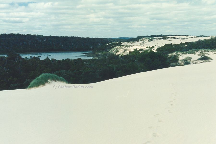 Edge of Yeagerup Dunes, Western Australia